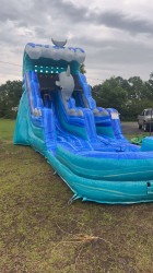 dolphin203 1710704161 18' Dolphin Slide